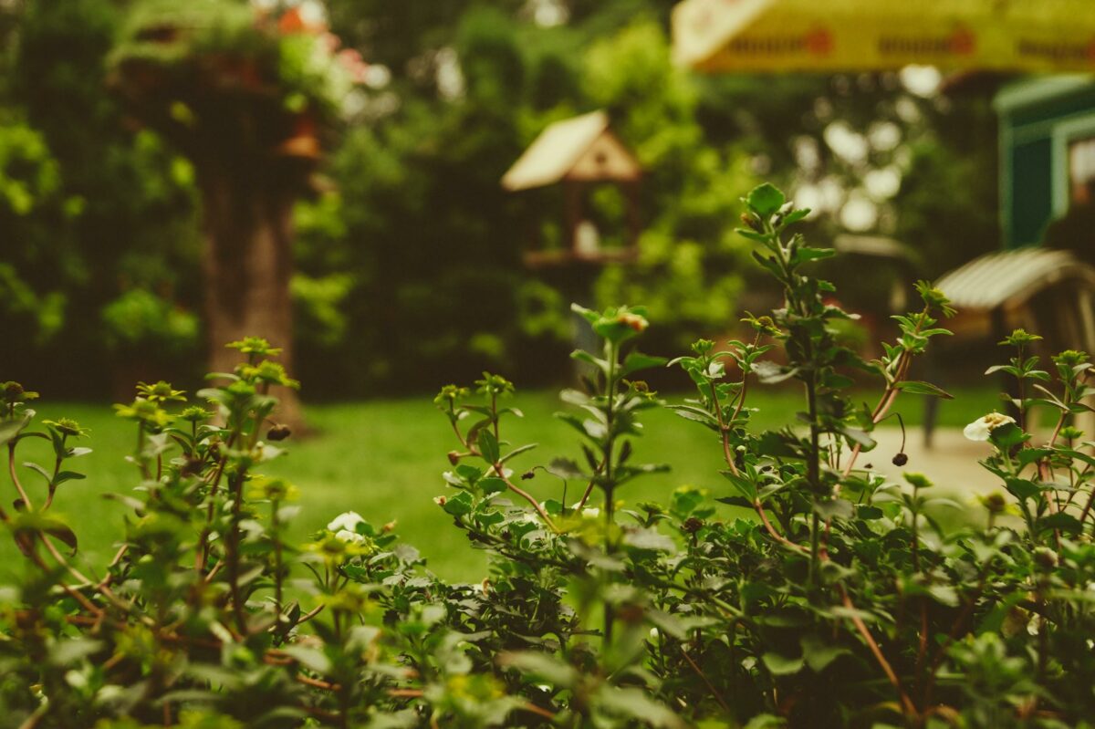 9 Reasons Why You Need to Hire a Professional Landscaping Service