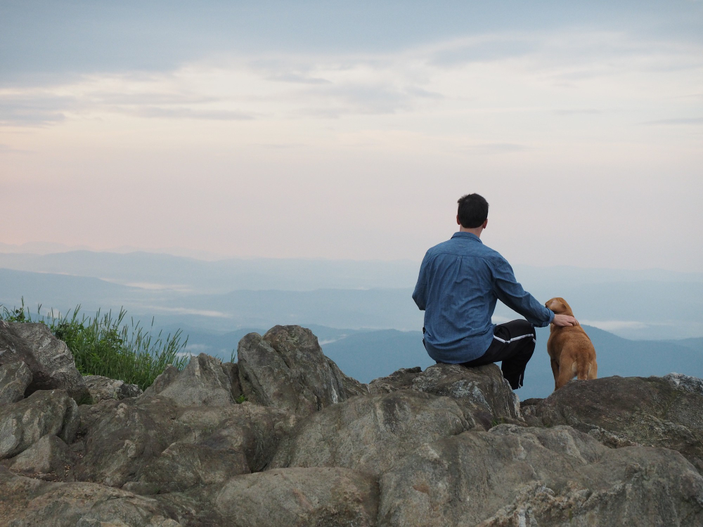 A man and his dog on the top of a cliff.