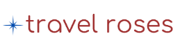web logo