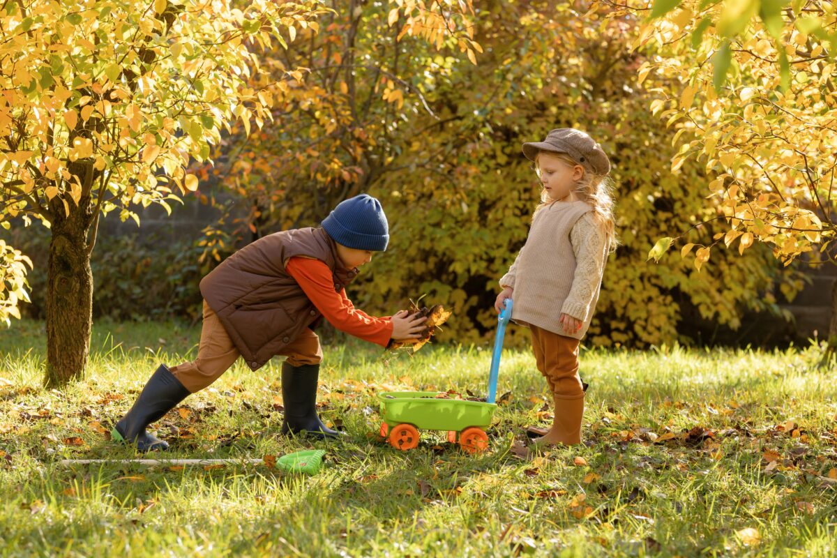 Early Learning
